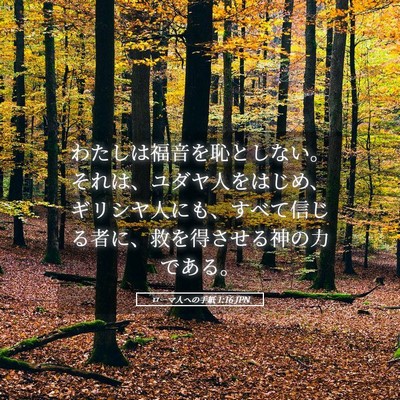 Picture 05 - ローマ人への手紙 1:16 JPN - わたしは福音を恥としない。それは - Bible Verse Picture