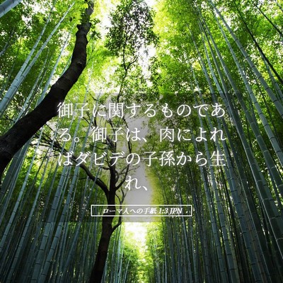 Picture 05 - ローマ人への手紙 1:3 JPN - 御子に関するものである。御子は、 - Bible Verse Picture