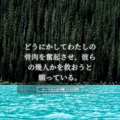 Picture 05 - ローマ人への手紙 11:14 JPN - どうにかしてわたしの骨肉を奮起さ - Bible Verse Picture