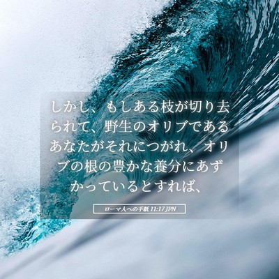 Picture 05 - ローマ人への手紙 11:17 JPN - しかし、もしある枝が切り去られて - Bible Verse Picture