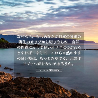 Picture 05 - ローマ人への手紙 11:24 JPN - なぜなら、もしあなたが自然のまま - Bible Verse Picture
