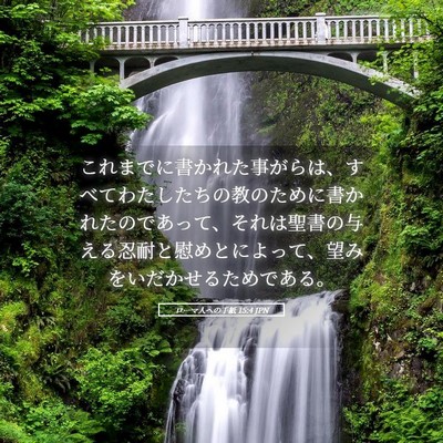 Picture 05 - ローマ人への手紙 15:4 JPN - これまでに書かれた事がらは、すべ - Bible Verse Picture