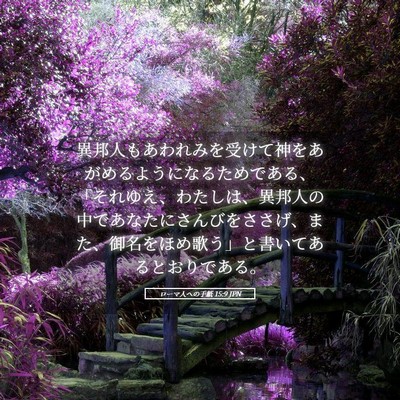 Picture 05 - ローマ人への手紙 15:9 JPN - 異邦人もあわれみを受けて神をあが - Bible Verse Picture