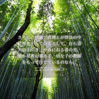 Picture 05 - ローマ人への手紙 2:20 JPN - さらに、知識と真理とが律法の中に - Bible Verse Picture