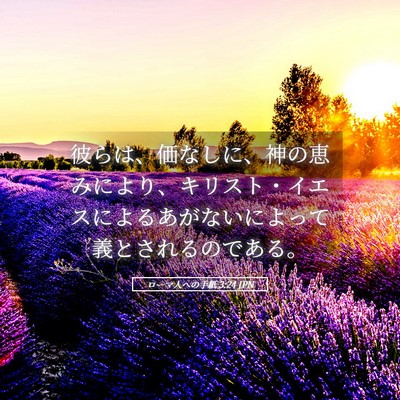 Picture 05 - ローマ人への手紙 3:24 JPN - 彼らは、価なしに、神の恵みにより - Bible Verse Picture