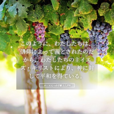 Picture 05 - ローマ人への手紙 5:1 JPN - このように、わたしたちは、信仰に - Bible Verse Picture