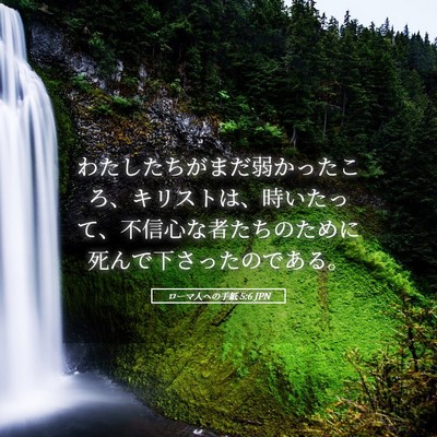 Picture 05 - ローマ人への手紙 5:6 JPN - わたしたちがまだ弱かったころ、キ - Bible Verse Picture