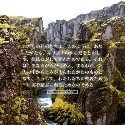 Picture 05 - ローマ人への手紙 7:4 JPN - わたしの兄弟たちよ。このように、 - Bible Verse Picture