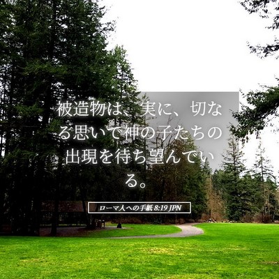 Picture 05 - ローマ人への手紙 8:19 JPN - 被造物は、実に、切なる思いで神の - Bible Verse Picture