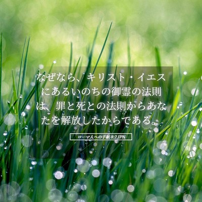 Picture 05 - ローマ人への手紙 8:2 JPN - なぜなら、キリスト・イエスにある - Bible Verse Picture