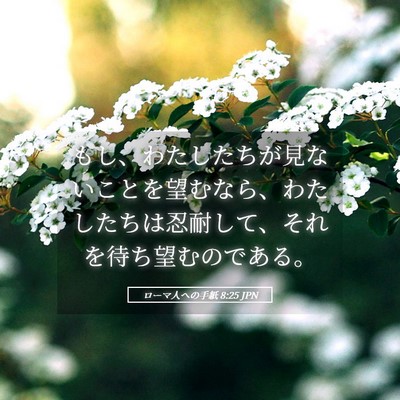 Picture 05 - ローマ人への手紙 8:25 JPN - もし、わたしたちが見ないことを望 - Bible Verse Picture