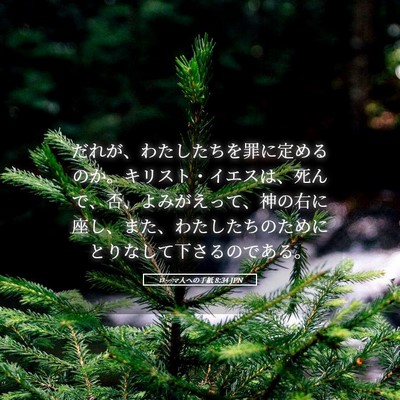 Picture 05 - ローマ人への手紙 8:34 JPN - だれが、わたしたちを罪に定めるの - Bible Verse Picture