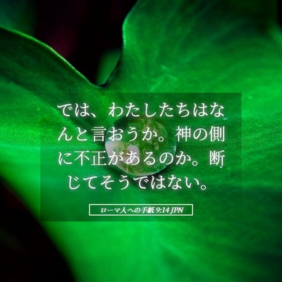 Picture 05 - ローマ人への手紙 9:14 JPN - では、わたしたちはなんと言おうか - Bible Verse Picture