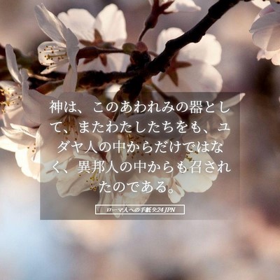 Picture 05 - ローマ人への手紙 9:24 JPN - 神は、このあわれみの器として、ま - Bible Verse Picture