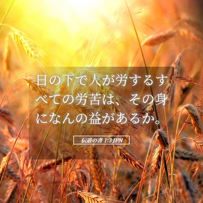Picture 05 - 伝道の書 1:3 JPN - 日の下で人が労するすべての労苦は - Bible Verse Picture