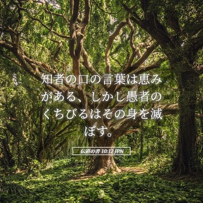 Picture 05 - 伝道の書 10:12 JPN - 知者の口の言葉は恵みがある、しか - Bible Verse Picture