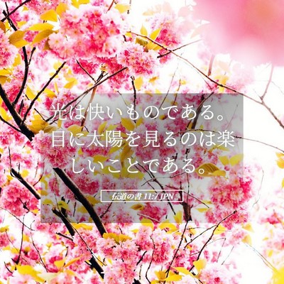 Picture 05 - 伝道の書 11:7 JPN - 光は快いものである。目に太陽を見 - Bible Verse Picture