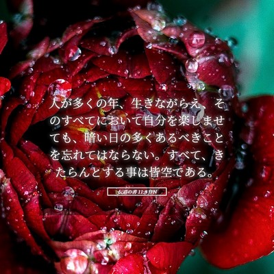 Picture 05 - 伝道の書 11:8 JPN - 人が多くの年、生きながらえ、その - Bible Verse Picture