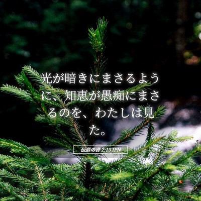 Picture 05 - 伝道の書 2:13 JPN - 光が暗きにまさるように、知恵が愚 - Bible Verse Picture