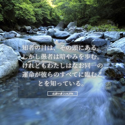 Picture 05 - 伝道の書 2:14 JPN - 知者の目は、その頭にある。しかし - Bible Verse Picture