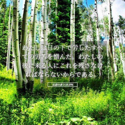 Picture 05 - 伝道の書 2:18 JPN - わたしは日の下で労したすべての労 - Bible Verse Picture