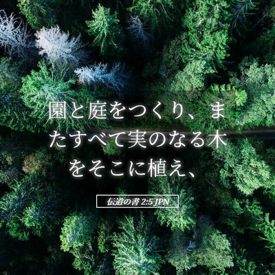 Picture 05 - 伝道の書 2:5 JPN - 園と庭をつくり、またすべて実のな - Bible Verse Picture