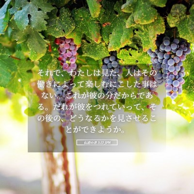 Picture 05 - 伝道の書 3:22 JPN - それで、わたしは見た、人はその働 - Bible Verse Picture
