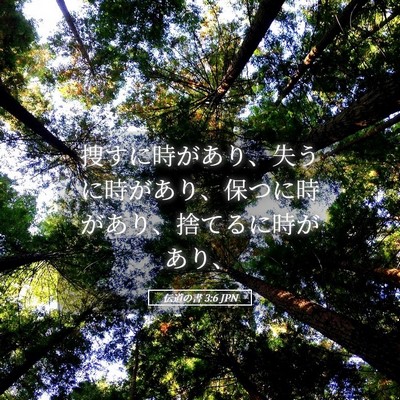 Picture 05 - 伝道の書 3:6 JPN - 捜すに時があり、失うに時があり、 - Bible Verse Picture