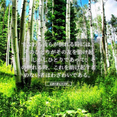 Picture 05 - 伝道の書 4:10 JPN - すなわち彼らが倒れる時には、その - Bible Verse Picture