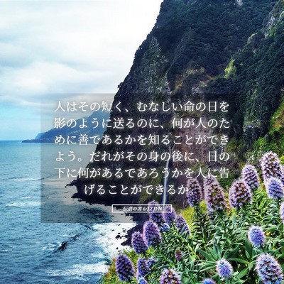 Picture 05 - 伝道の書 6:12 JPN - 人はその短く、むなしい命の日を影 - Bible Verse Picture