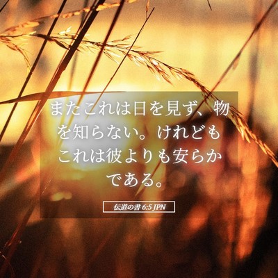 Picture 05 - 伝道の書 6:5 JPN - またこれは日を見ず、物を知らない - Bible Verse Picture