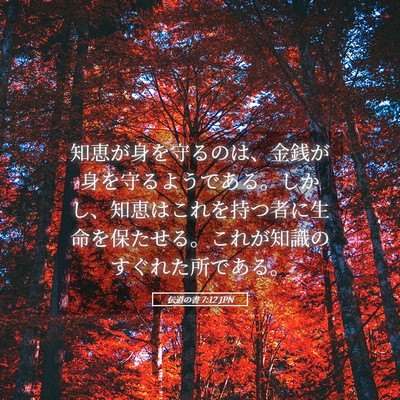 Picture 05 - 伝道の書 7:12 JPN - 知恵が身を守るのは、金銭が身を守 - Bible Verse Picture