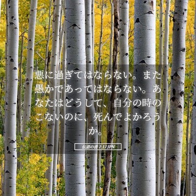 Picture 05 - 伝道の書 7:17 JPN - 悪に過ぎてはならない。また愚かで - Bible Verse Picture