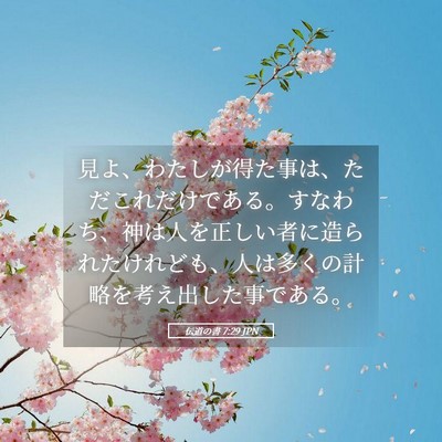 Picture 05 - 伝道の書 7:29 JPN - 見よ、わたしが得た事は、ただこれ - Bible Verse Picture