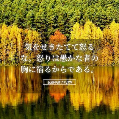 Picture 05 - 伝道の書 7:9 JPN - 気をせきたてて怒るな。怒りは愚か - Bible Verse Picture