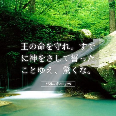 Picture 05 - 伝道の書 8:2 JPN - 王の命を守れ。すでに神をさして誓 - Bible Verse Picture
