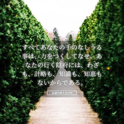 Picture 05 - 伝道の書 9:10 JPN - すべてあなたの手のなしうる事は、 - Bible Verse Picture