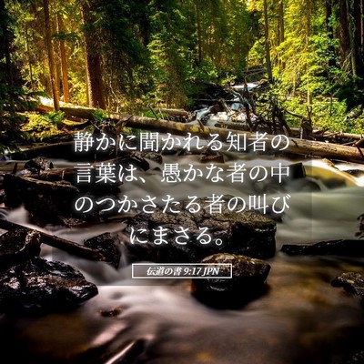 Picture 05 - 伝道の書 9:17 JPN - 静かに聞かれる知者の言葉は、愚か - Bible Verse Picture