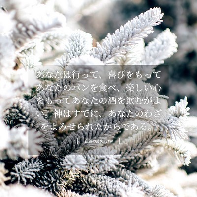 Picture 05 - 伝道の書 9:7 JPN - あなたは行って、喜びをもってあな - Bible Verse Picture