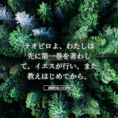 Picture 05 - 使徒行伝 1:1 JPN - テオピロよ、わたしは先に第一巻を - Bible Verse Picture