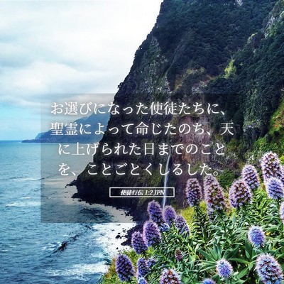 Picture 05 - 使徒行伝 1:2 JPN - お選びになった使徒たちに、聖霊に - Bible Verse Picture