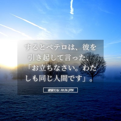 Picture 05 - 使徒行伝 10:26 JPN - するとペテロは、彼を引き起して言 - Bible Verse Picture