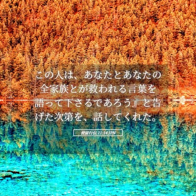 Picture 05 - 使徒行伝 11:14 JPN - この人は、あなたとあなたの全家族 - Bible Verse Picture