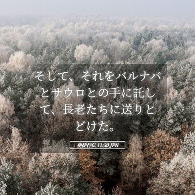 Picture 05 - 使徒行伝 11:30 JPN - そして、それをバルナバとサウロと - Bible Verse Picture
