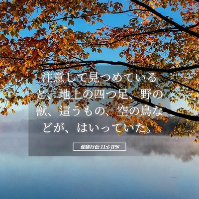 Picture 05 - 使徒行伝 11:6 JPN - 注意して見つめていると、地上の四 - Bible Verse Picture