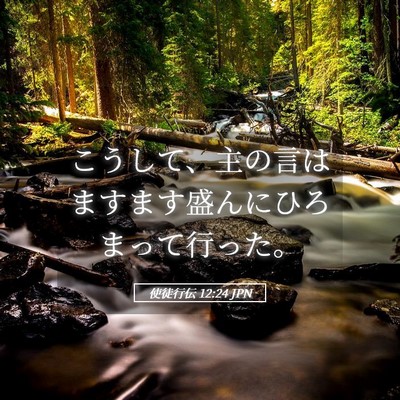Picture 05 - 使徒行伝 12:24 JPN - こうして、主の言はますます盛んに - Bible Verse Picture