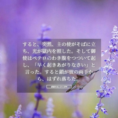 Picture 05 - 使徒行伝 12:7 JPN - すると、突然、主の使がそばに立ち - Bible Verse Picture