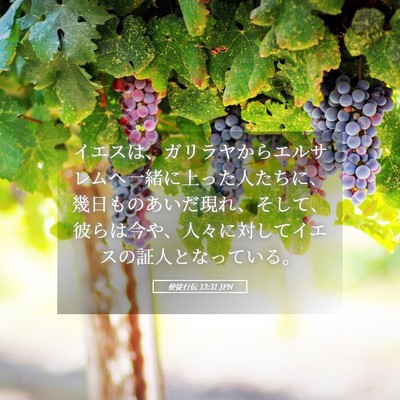 Picture 05 - 使徒行伝 13:31 JPN - イエスは、ガリラヤからエルサレム - Bible Verse Picture
