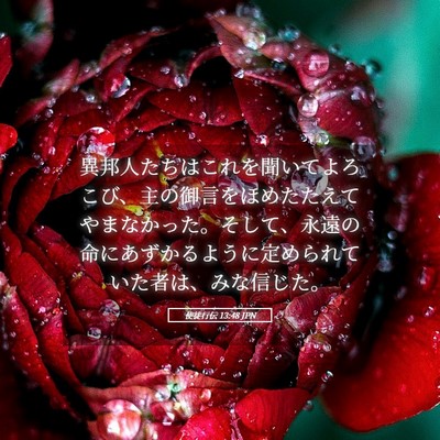 Picture 05 - 使徒行伝 13:48 JPN - 異邦人たちはこれを聞いてよろこび - Bible Verse Picture