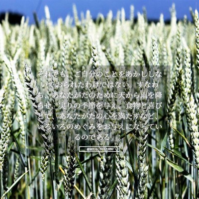 Picture 05 - 使徒行伝 14:17 JPN - それでも、ご自分のことをあかしし - Bible Verse Picture
